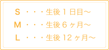 サイズ説明