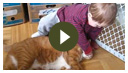 bibiTV5